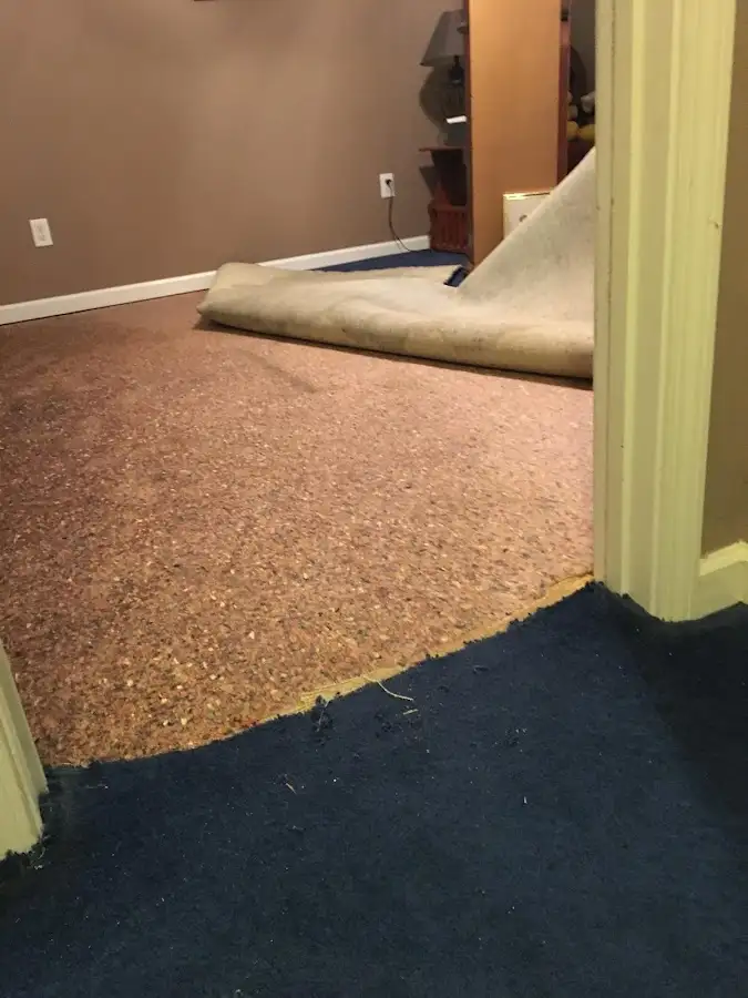 Carpet pad removal revealing water damage during Drying & Dehumidification in Rumford