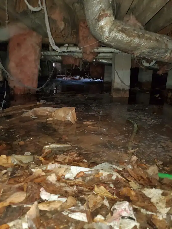Crawl space flood assessment for Leak Detection & Repair in Rumford