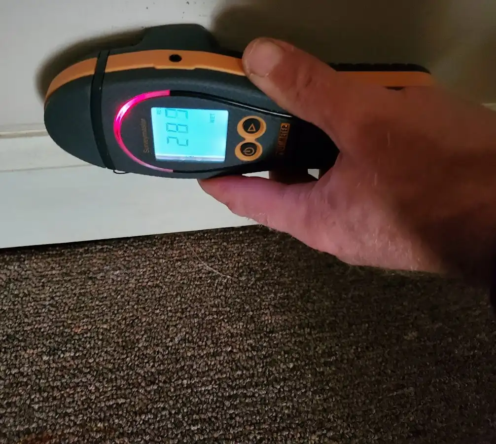 Moisture detection at baseboard during Sewage Cleanup & Sanitation in Rumford